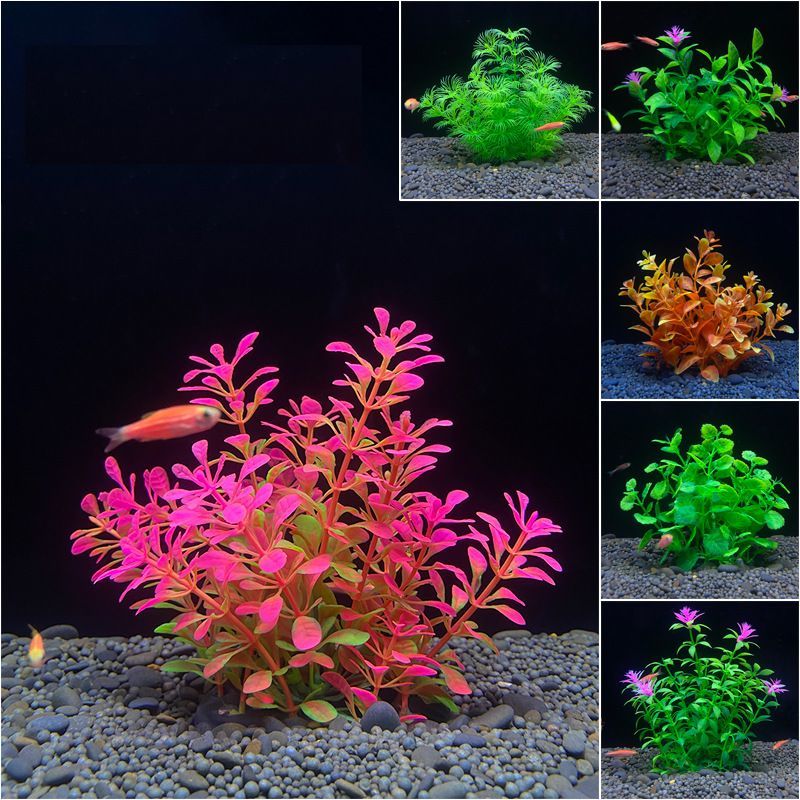 送料無料 人工水草 人口プランツ アクアティックプランツ 生き物 熱帯魚 メダカ 金...
