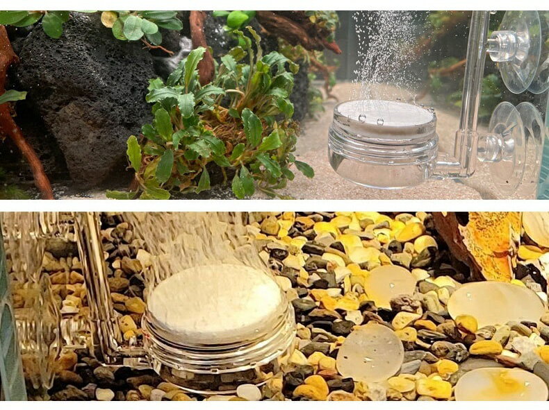 ����̵�� �������ȡ��� �٤���ˢ �Х֥� �Х֥륹�ȡ��� ���������ȡ��� �� �٤��� ���å� ���� ���� �����졼����� �Ų� �� ���� Ǯ�ӵ� ������ ������ ��ˢ