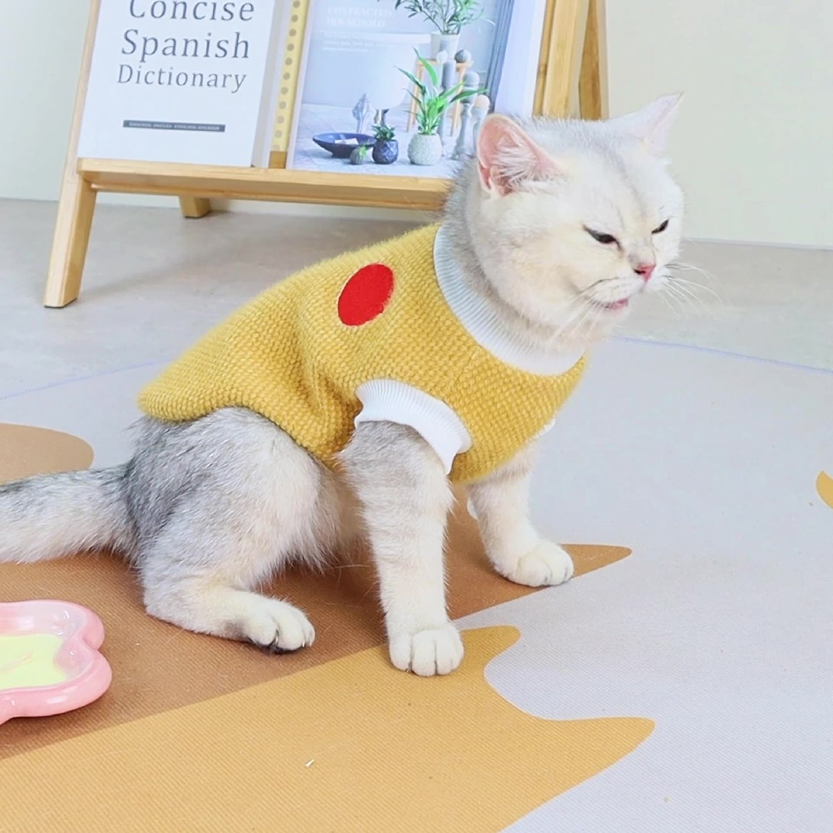 ����̵�� ����åȥ����� �ɥå������� ���󥯥ȥå� ǭ�� ���� ������ ���� �ڥåȥ����� ���ä��� �Ȥ� �Ρ����꡼�� ���ݥ���� �������� ������� ���襤�� �����奢�� �ǥ��꡼ ������ ���Ф��� �ڥå����� �ͤ� �ͥ� ���� ����