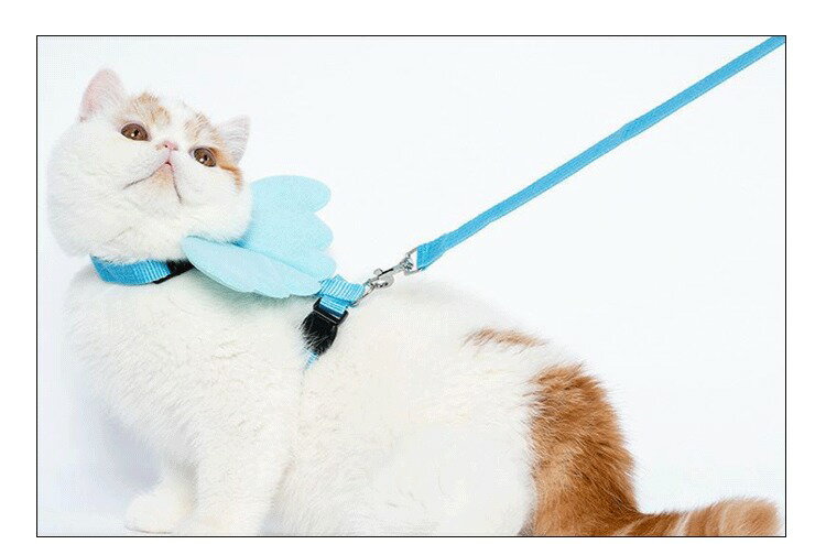 ����̵�� �ϡ��ͥ� �꡼�� 2�����å� ǭ�� ���� ������ �������� �ڥå����� ƹ�� ����ɳ �꡼���� ŷ�Ȥα� ���󥸥��� �İ��� ������� �Хå��� ���Ǥ��� ���� �����⥰�å� �ڥåȥ��å� �ͤ� �ͥ�