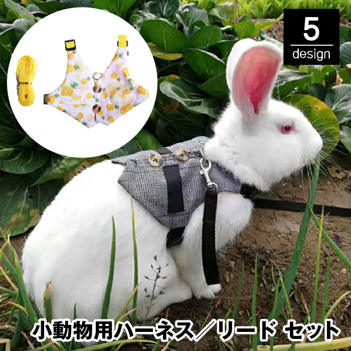 送料無料 小動物用ハーネス リード 2点セット ベスト ペットウェア ペット用品 小型ペット うさぎ モルモット 子猫 チェック パイナップル イチゴ 星 フラワー かっこいい