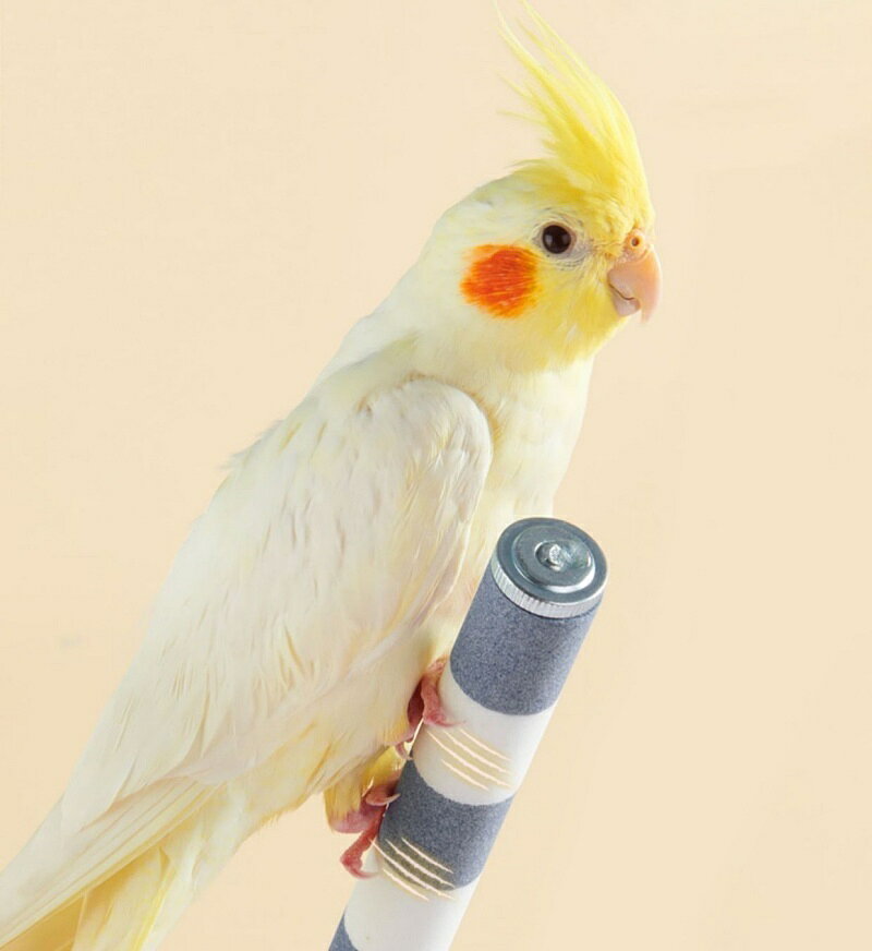 LaForestの送料無料 止まり木 爪とぎパーチ 爪とぎ 爪磨き 足場 ペット用品 小鳥 オウム インコ 洗える ケージ用 簡単設置 スタンドロッド ケージスタンド｜アングル2