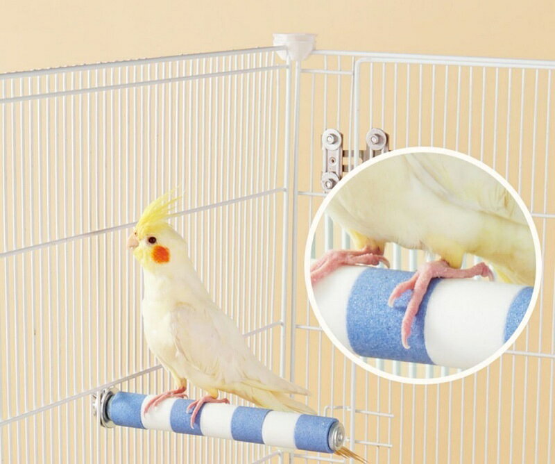 LaForestの送料無料 止まり木 爪とぎパーチ 爪とぎ 爪磨き 足場 ペット用品 小鳥 オウム インコ 洗える ケージ用 簡単設置 スタンドロッド ケージスタンド｜アングル3