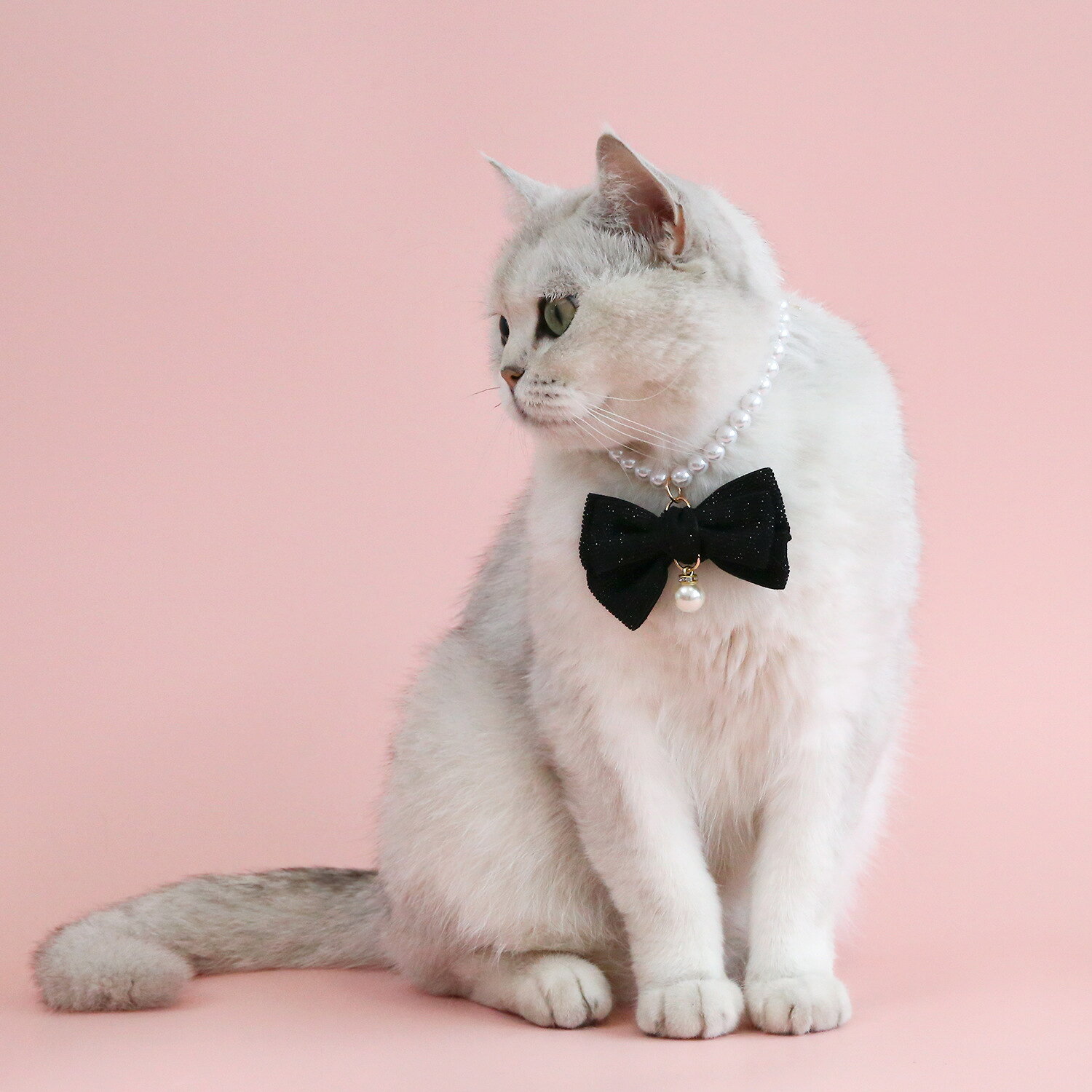 LaForestの送料無料 ペット用ネックレス 猫用 小型犬 チョーカー 首飾り アクセサリー パール調 リボン アジャスター付き フェイクパール ネコ用 イヌ用 可愛い おしゃれ おめかし 華やか 撮影 ペットグッズ｜アングル2