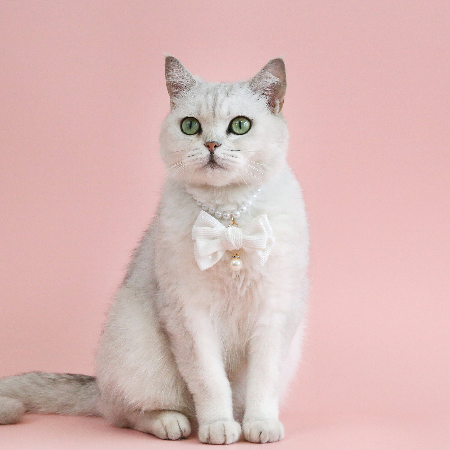 LaForestの送料無料 ペット用ネックレス 猫用 小型犬 チョーカー 首飾り アクセサリー パール調 リボン アジャスター付き フェイクパール ネコ用 イヌ用 可愛い おしゃれ おめかし 華やか 撮影 ペットグッズ｜アングル3