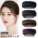 送料無料 ポイントウィッグ 部分ウィッグ ヘアピース つけ毛 付け毛 増毛 ボリューム つむじカバー エクステ 自然 ナチュラル エクステンション かつら レデ...