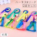 送料無料 ハーネス リード 2点セット 犬 いぬ イヌ ペット用品 胴輪 レインボー カラフル 七彩 散歩 お出かけ 紐 ロープ 調節可能 かわいい おしゃれ