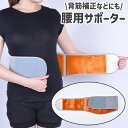 送料無料 腰用サポーター ウエストサポーター レディース メンズ 男女...(4)