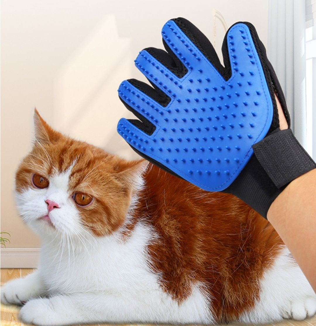 ����̵�� �ڥå��ѥ֥饷 ���롼�ߥ󥰥������� ��С��֥饷 �Ҽ��� ñ�� ���޷� �֥饷�դ����� ǭ�� ���� ȴ���Ӽ�� ����� �������� �ڥå����� �ڥåȥ��å� �������� �ͤ� �ͥ� ���� ����