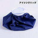 送料無料 アイシングバッグ 氷のう 氷嚢 アイスバッグ アイシングパック ひょうのう 冷却 冷やす 熱中 暑さ対策 クールダウン ケガ 発熱 スポーツ 運動 ア...