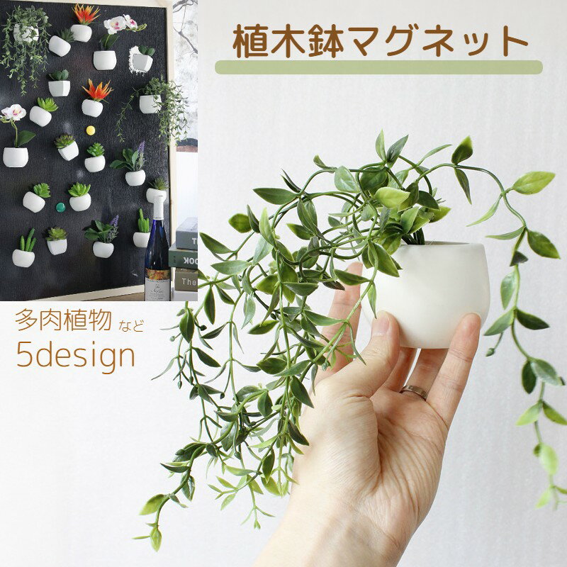 樂天商城 - 送料無料 マグネット 多肉植物 サボテン 造花 インテリア リビング ガーデニング アートフラワー 装飾 飾り ギフト 誕生日 プレゼント