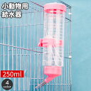 送料無料 小動物用給水器 ウォーターボトル 250ml 水やり 水飲みボトル ペット用品 ケージ取り付け ハムスター モルモット ペットグッズ 簡単設置 シンプル コンパクト 省スペース