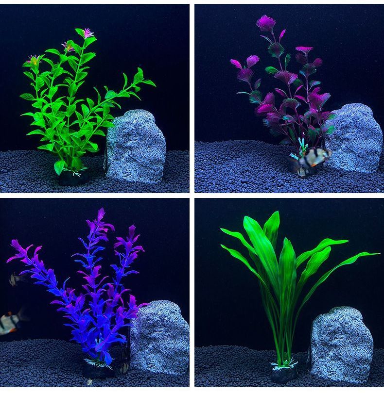 ����̵�� �͹����� �͹��ץ��� ��20cm ����� �����ѥ쥤������ �������ꥦ������ ���� ���ȭ ����ƥꥢ ���������꡼ ���ߥơ������ ����