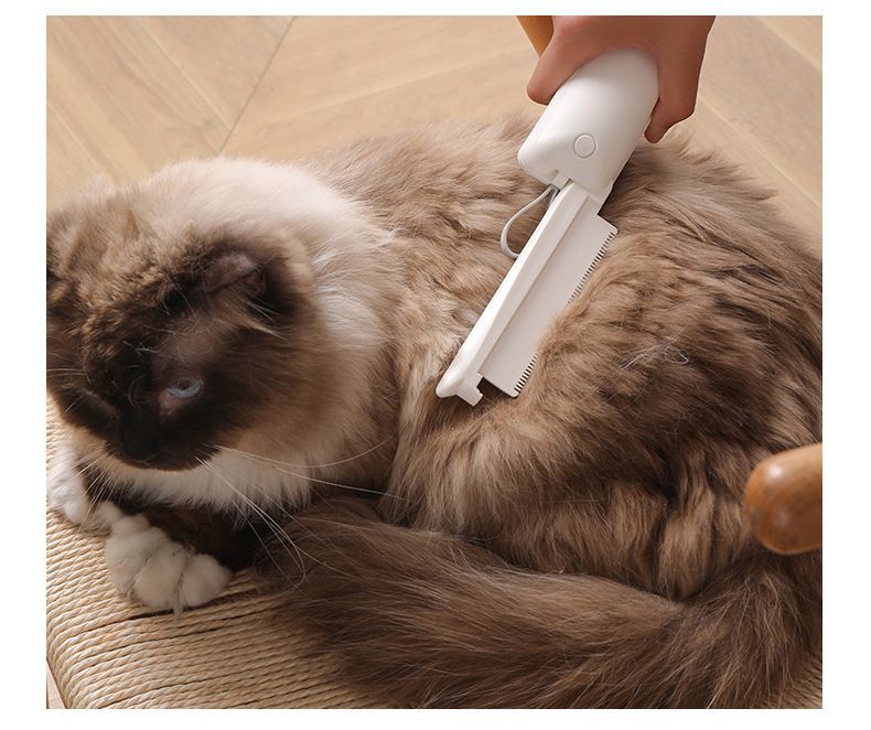 ����̵�� �ڥå��ѥ����� ǭ �� �Ӷ̼�� ȴ���Ӽ�� ���롼�ߥ� Ĺ�� ���󥰥����� �֥�å��� �ޥå����� �� �������� ���꡼�ʡ� �ڥå����� �ۥ磻�� �ԥ�