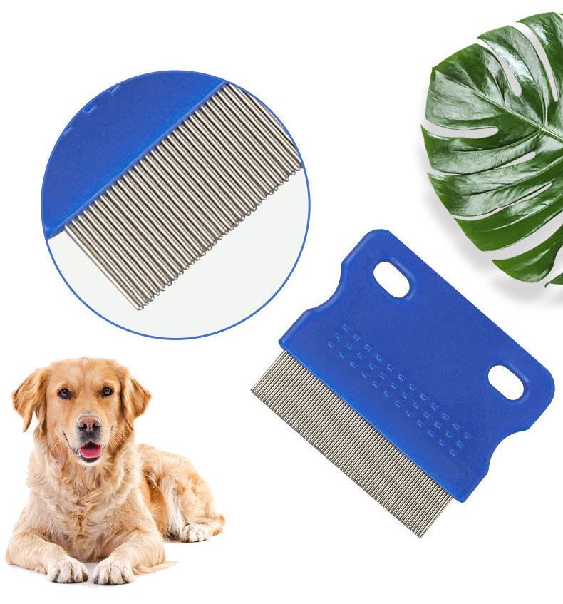 ����̵�� �Υ߼�ꥳ���� �ڥå��� �Τ߼�� ���˼�� �� �֥饷 ǭ�� ���� �������� ȴ���ӥ��� ȴ���Ӽ�� �������� ���롼�ߥ� �֥�å��� �ڥå����� �ڥåȥ��å� �ͥ� �ͤ� ���� ����