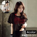 送料無料 半袖カットソー レディース 女性 メッシュ シースルー トップス Tシャツ シンプル 無地 重ね着 透け感 ダンス 衣装 トレーニング ブラック ホワイト