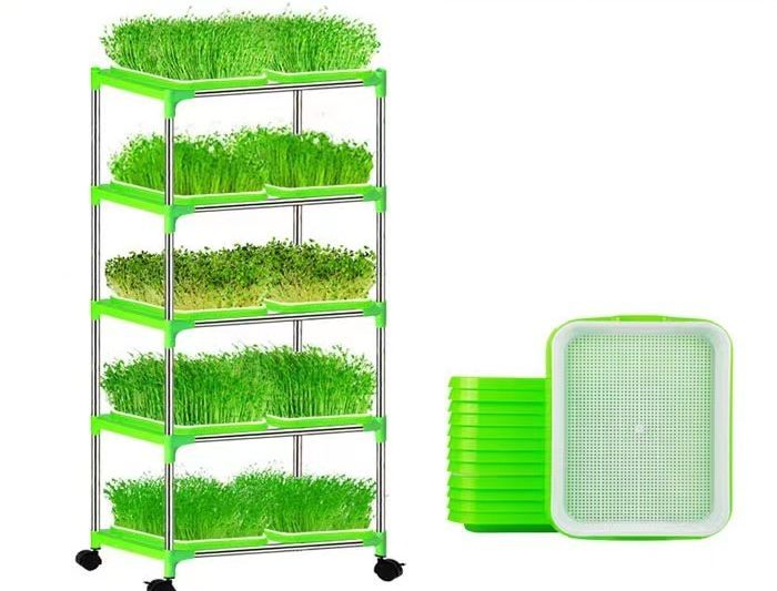 送料無料 育苗トレイ 育苗トレー 農業用品 ガーデニング用品 植栽トレイ 水栽培 も...