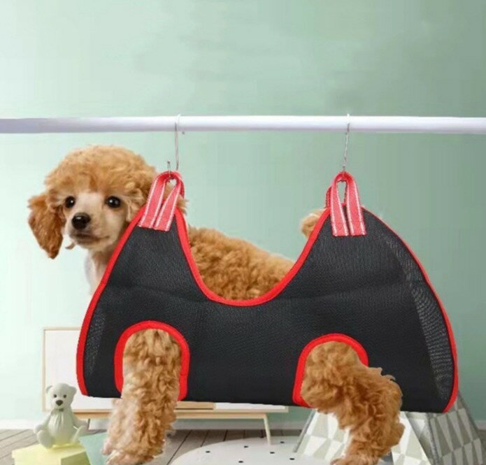 ����̵�� ���롼�ߥ󥰥ϥ��å� �ߤ겼�� �ڥå����� ���� ǭ�� �ȥ�ߥ� �����ס� ����Ϥ �ɥ饤�䡼 ���ڤ� ���ݽ� �򹯥����å� �եå� ���� ���� ��ñ ���� ������ �������� ���� ���� �ͤ� �ͥ� �ɥå� ����å�