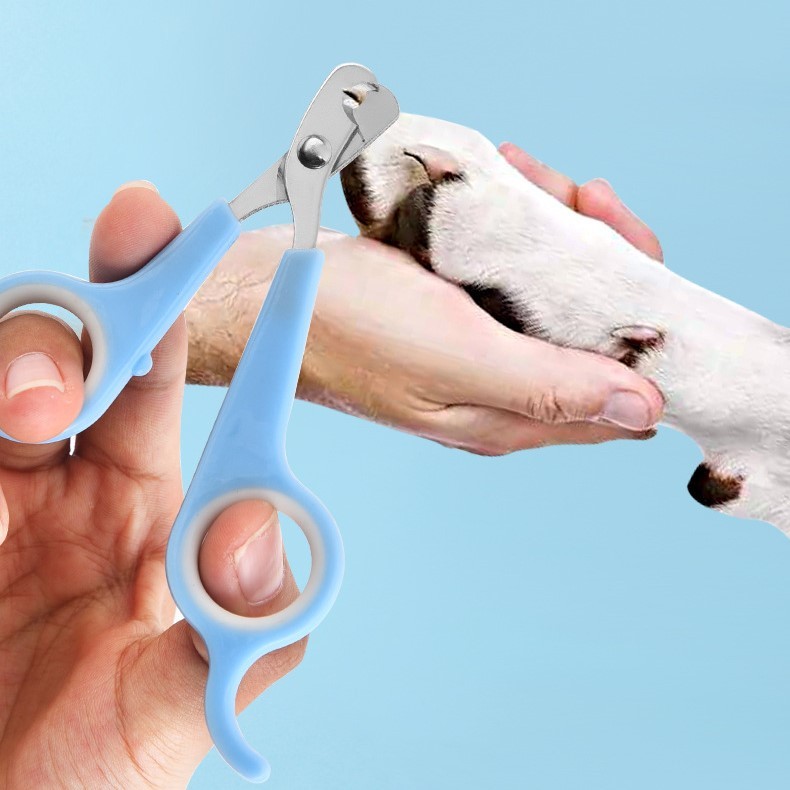 ����̵�� �ڥå������ڤ� �ͥ��륯��åѡ� �ͥ��륫�å��� �Ĥ��ڤ� ǭ �� �ͥ� ���� �ڥå����� �ͥ��륱�� �Ϥ��� �ϥ��� �������� ���سݤ� ������ ��ưʪ