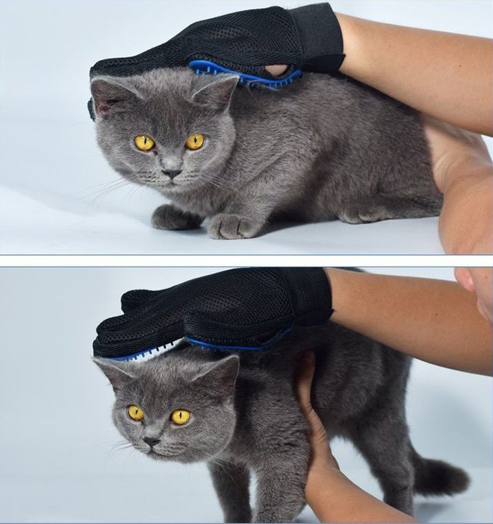 ����̵�� ���롼�ߥ󥰥������� �Ҽ��� �ڥåȥ��å� �ڥå����� ���� ���� ���޷��֥饷 �֥�å��� ȴ���Ӽ�� ȴ�����к� ǭ �ͥ� �� ���� ����ץ�