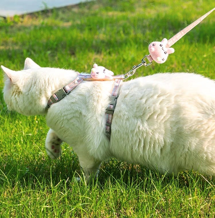 送料無料 ハーネスリード 胴輪 マスコット付き ハーネスリードセット 犬 猫 イヌ ...