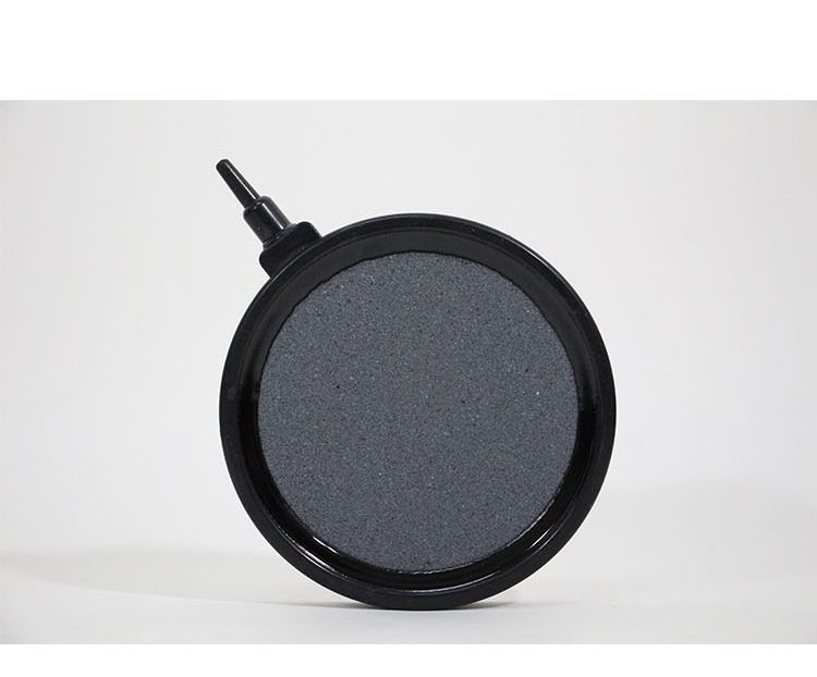 ����̵�� �������ȡ��� ������ �����ݥ�� �����졼����� ������ ��ˢ�� ������� �������ꥦ������ �ݷ� �߷� �������� ��ˢ �Х֥� ��������