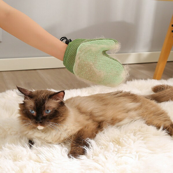 ����̵�� ���롼�ߥ󥰥������� �Ҽ��� ξ�� ȴ���Ӽ�� ȴ���ӽ������� �ڥå��� ���޷��֥饷 ���롼�ߥ󥰼��� �ڥå� �ڥå����� �ͥ� ǭ ���� �� ������������ �֥饷 �֥�å���