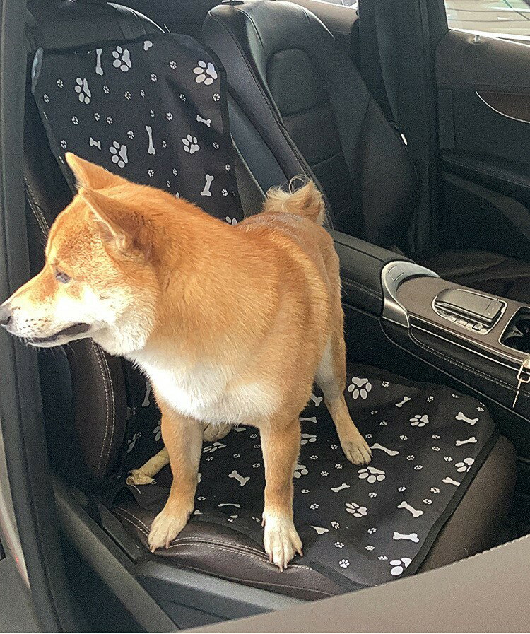 ����̵�� ���ѥ��������� ���ѥɥ饤�֥����� �ڥå��ѥ��������� ���ѥɥ饤������ �ڥå����� �� ���� ǭ �ͥ� �ɿ� ���� ��ư ����ץ�