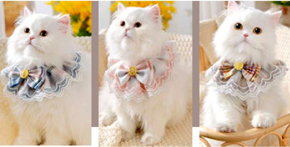 送料無料 ペット用スタイ 猫 ネコ 犬 イヌ ペット用 よだれかけ キャットウェア フ...