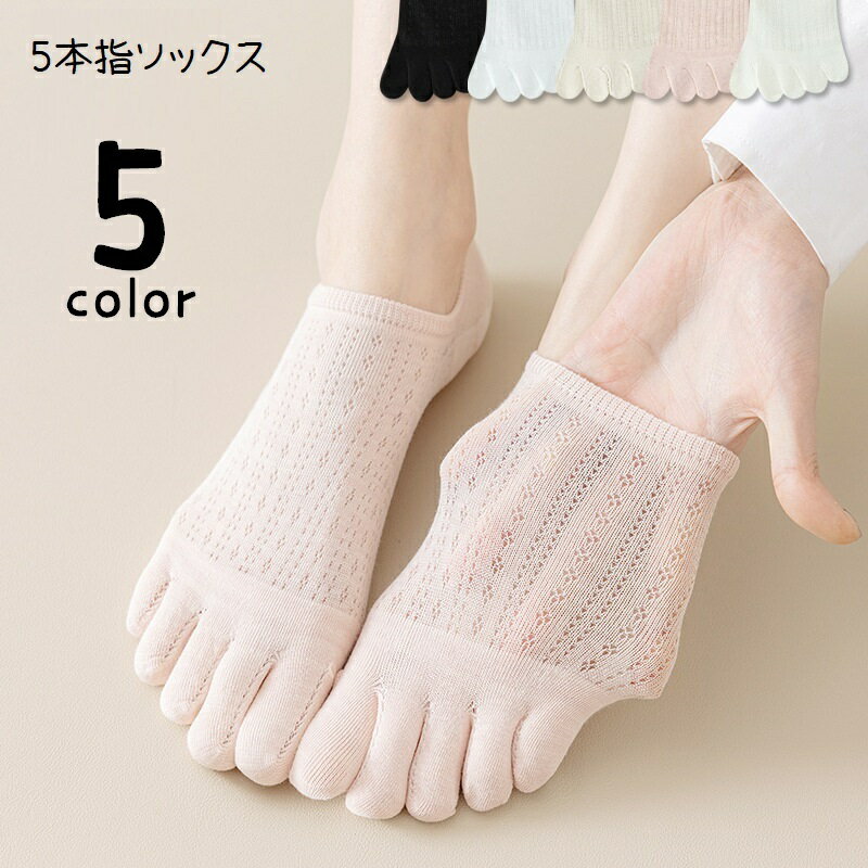 ����̵�� 5�ܻإ��å��� 5�ܻط��� ���硼�ȥ��å��� ��ǥ����� ���� �ؿ� ���� ���Ĳ� 1­ ���硼�Ⱦ� Ʃ���� ������ �������롼 ñ�� ̵�� ���襤��...