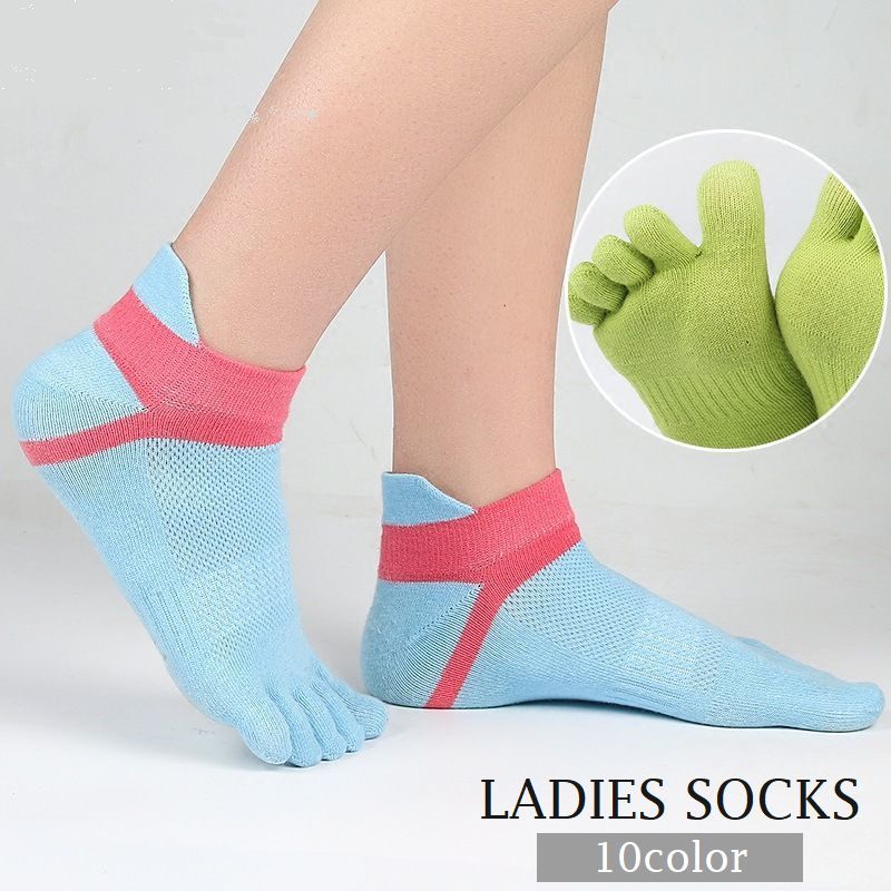 ����̵�� ���ܻإ��å��� ���硼�ȥ��å��� ��ǥ����� ���� ���硼�Ⱦ� �Х����顼 �ۿ� ������� ���襤�� ����ե�