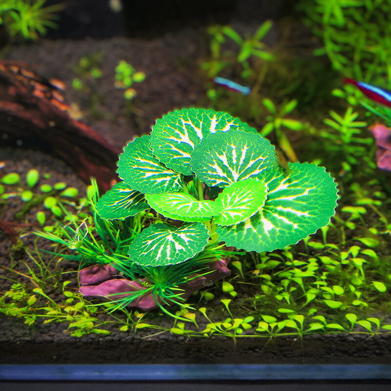 ����̵�� �͹����� �͹��ץ��� �����ѥ쥤������ ¤�� �������ꥦ��ǥ��졼����� �����⥤��ƥꥢ ���������꡼ ���֥��� �����ʥ��� �������� �쥤���������� �������å� ���� �Ѿ޵� Ǯ�ӵ� ����� ��� �ڥå����� �� �� �� �ե��������꡼�� �������