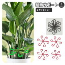 送料無料 植物サポート 4サイズセット 茎ホルダー 固定クリップ 固定 支柱 つる植物 引っ掛け 旋回型 ラウンド 家庭菜園 ガーデニング 花 園芸用
