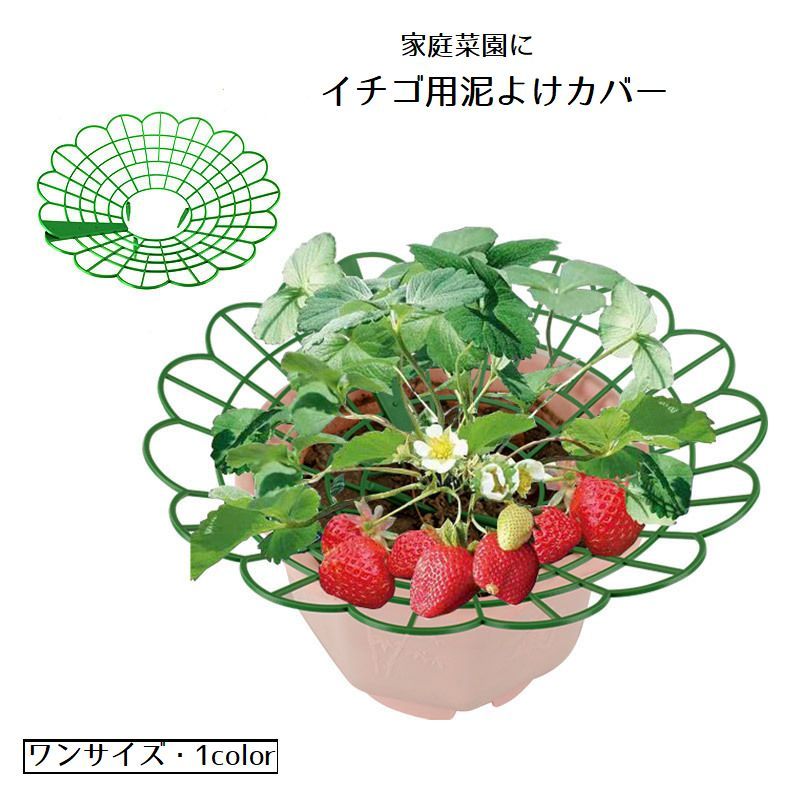 イチゴの泥よけカバーです。 イチゴの実の汚れ・腐敗防止に効果があります 家庭菜園におすすめです。 【サイズについて】 画像をご参照ください。 【カラーについて】 生産ロットにより柄の出方や色の濃淡が異なる場合がございます。 お使いのモニターや撮影時の光の加減などにより 画像と実際の商品のカラーが異なる場合もございます。 予告なしにカラーやデザインなどの変更がある場合もございます。 【素材について】 プラスチック