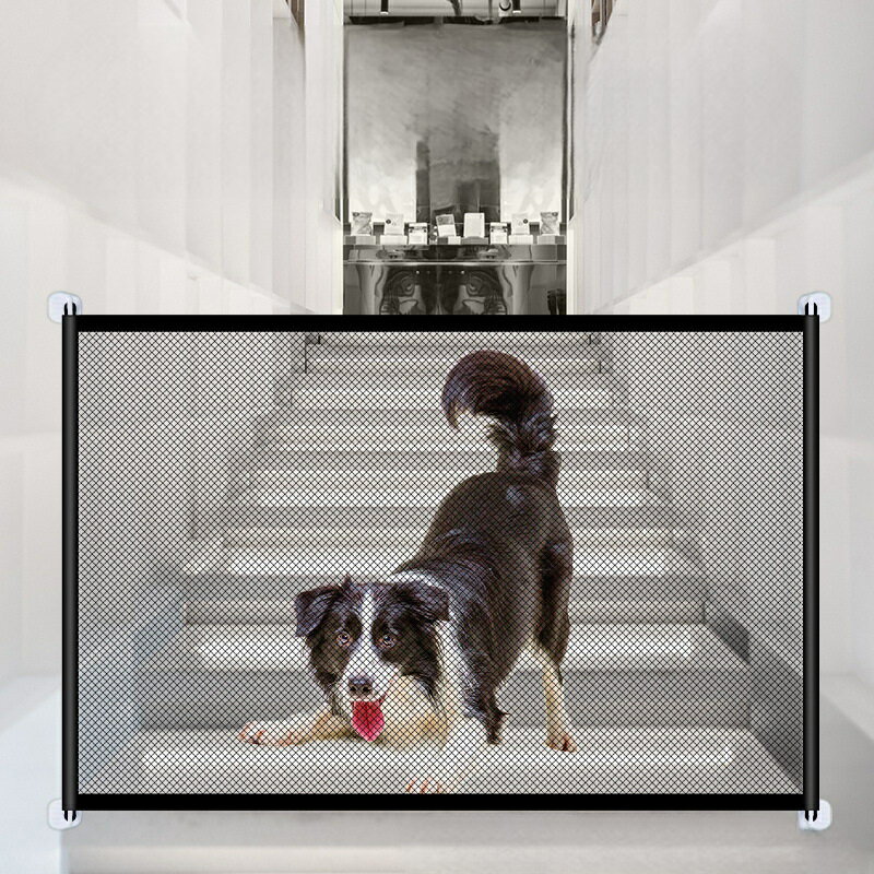 ����̵�� �ڥåȥ����� �ڥåȥե��� �� ǭ ��å��奲���� �����եƥ������� �ɥå������� ��å��奿���� �٥ӡ������� �٥ӡ��ե��� �����ɻ� ¿���� �����ݸ� ��ñ��Ω �������� �ڥå�����