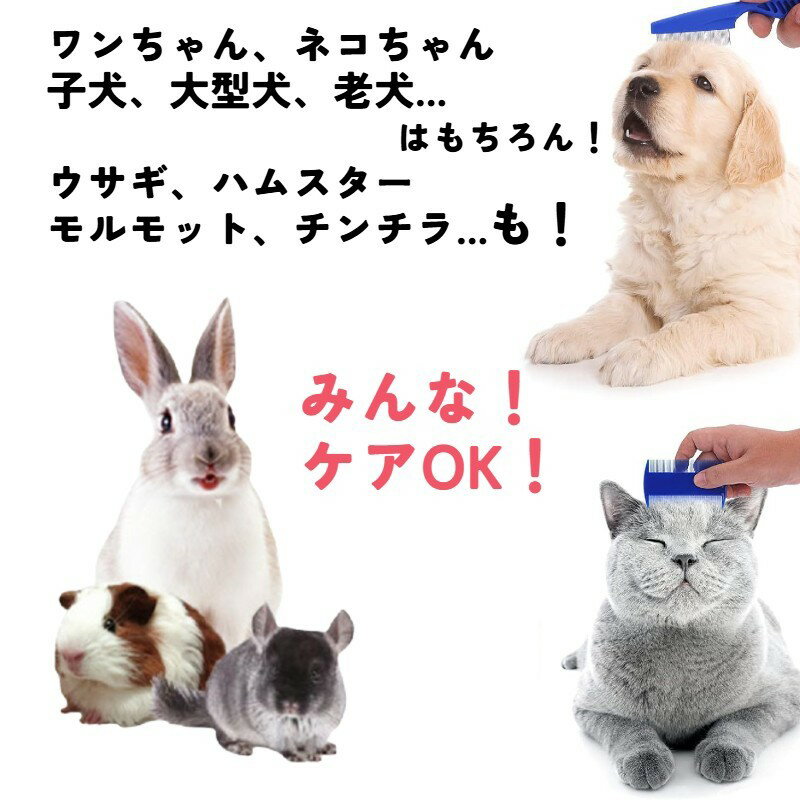 ����̵�� �ڥåȥ����� ������ �ڥå��� ���� ���� �Υ߼�� 5�����å� �Υ߼��� ���롼�ߥ� �� ���� ǭ �ͥ� ������ ������ ������� �ϥॹ���� ��ưʪ ȴ���Ӽ�� �Ӷ̤ۤ��� ȩ��ͥ���� �ڥå����� �������� �ޤ䤱���� ���˼�� �ǥ���