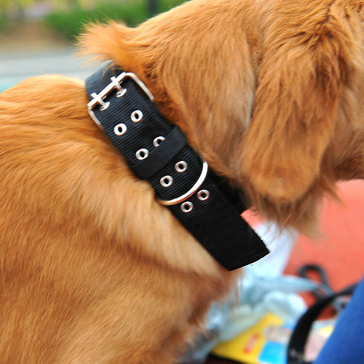 送料無料 首輪 犬用 犬 犬の首輪 中型犬 大型犬 ペット用品 ペットグッズ 無地 散歩 お出かけ ブラック レッド ブルー アーミーグリーン シンプル laforest-10131120 LaForest サンプル画像3