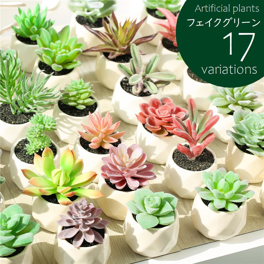 送料無料 フェイクグリーン 単品 鉢植え 造花 人工多肉植物 ミニ コンパクト 人工観葉植物 インテリア グリーン プランツ リーフ 手入れ不要 アーティフィシャルグリーン 手軽 おしゃれ 装飾小物