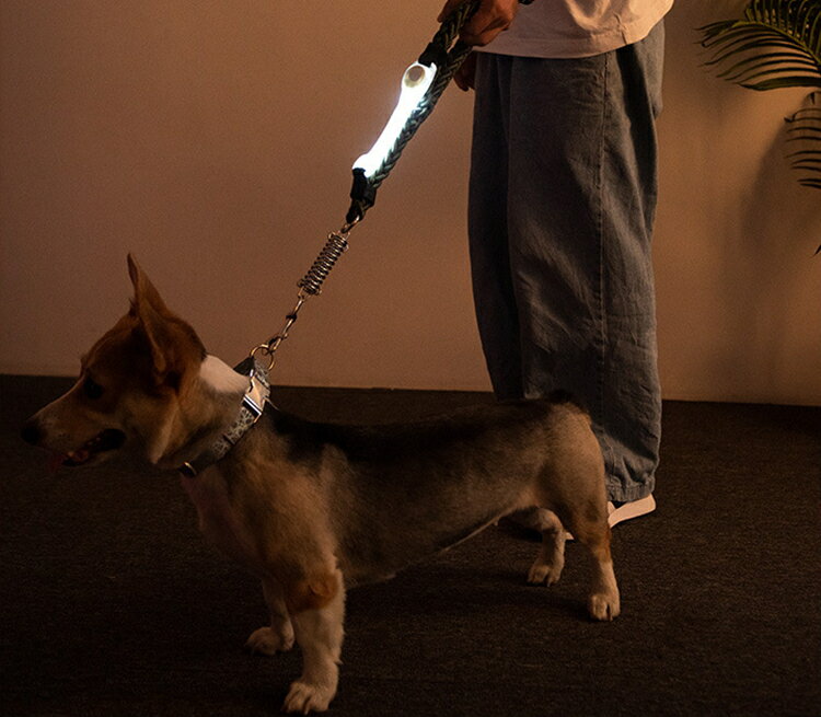 ����̵�� ������饤�� �� ���� �ڥå����� LED�饤�� ���� �꡼�ɼ���դ� �����饤�� �꡼�� �ϡ��ͥ� ƹ�� ���� �ޥ��å� �ơ��� �̥ե����ʡ� ��� ��ǧ�� ���� �����к� �ܥ������� ����Х�˭�� �ͤ�