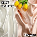 送料無料 背景布 撮影用 バックスクリーン 背景シート 75×100cm 単色 無地 サテン調 光沢感 両面 物撮り 自撮り 商品撮影 写真 動画 テレワーク ...