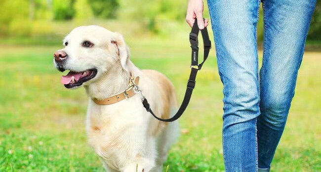 送料無料 ペット用シートベルト 車用リード 犬 猫 後部座席 ヘッドレスト ドライブ...