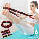 送料無料 ストレッチバンド ストラップバンド 8段階 ストラップループ...(4)