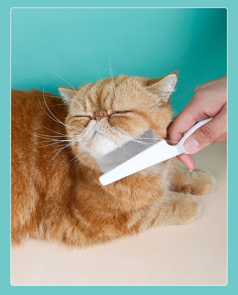 ����̵�� �Υ߼�� ����߼�� �˥åȶ�� ��������� ������ �֥饷 �� ���� �� ǭ �ڥå� �Ҷ� �������� ������ ���롼�ߥ�