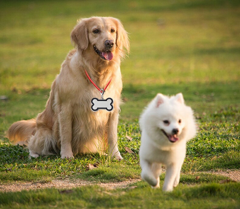 送料無料 ペット用迷子札 名札 ネームタグ ネームチャーム 犬猫兼用 ドッグタグ キ...