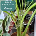 送料無料 園芸用支柱サポートプレート 支柱ホルダー 固定 支柱用部品 つる植物用 リーフ型 葉っぱ型 クリア 透明 ガーデニング用品 園芸用品 家庭菜園 野菜 花