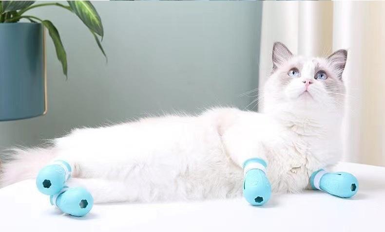 ����̵�� ǭ��­���С� �ޥ��С� ǭ�� ǭ���� ����åȥ��塼�� 4�ĥ��å� �ڥå����� ���롼�ߥ� �֥�å��� ����Ϥ �������쥰�å� �̱� ���ä����ɻ� �Ҥä����к�