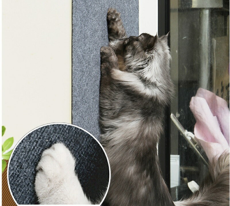 ����̵�� �ޤȤ������� �����ڥåȥ����� ǭ�� �ڥå��� 100��30cm Ž���դ� �޸��� �ޥ��� �������� ǭ �ͥ� �ڥåȥ��å�