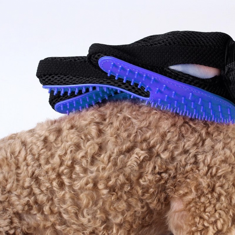 ����̵�� ���롼�ߥ󥰥������� �ڥå��� ������ ������ ñ�� ���ޥ֥饷 ���롼�ߥ󥰼��� �ڥå� �ڥå����� ���� �� �ͤ� ǭ ������������ �֥�å��� ȴ���� ���� �Ӷ̽��� ����