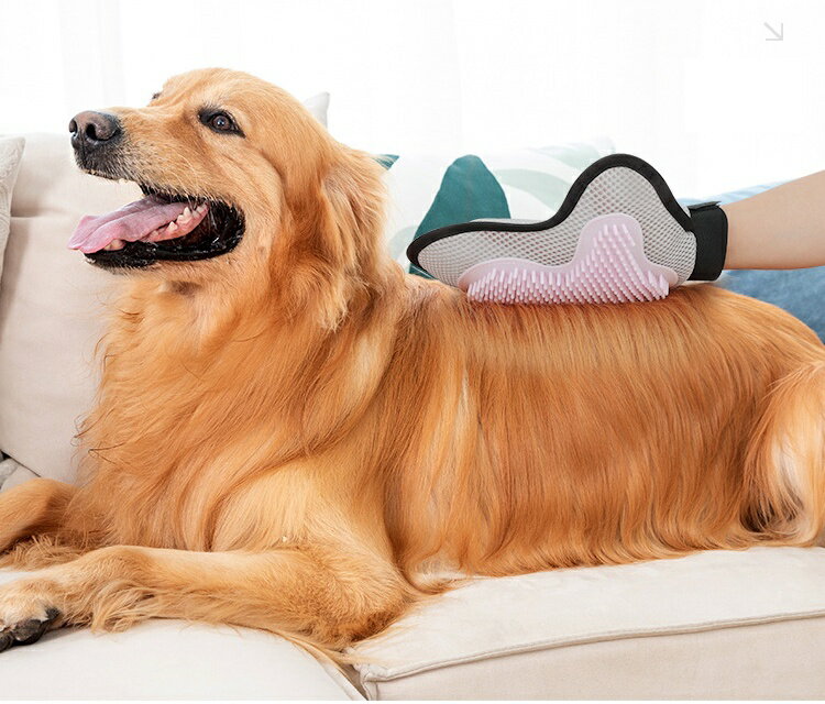 ����̵�� �ڥå��ѥ֥饷 ���޷��֥饷 ���롼�ߥ󥰼��� �Ҽ��� ñ�� ������ �� ǭ �֥�å��󥰥������� ���롼�ߥ󥰥֥饷 �ڥå����� ȴ���Ӽ�� �������� �Ӷ̽��� ȴ�����к� �������� ���� ���� �ͤ� �ͥ� �ɥå� ����å�