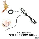 送料無料 鳥用リード バードリード インコ オウム 小鳥 リード 2m リストストラップ付き シンプル 外出 散歩 お出かけシーン 迷子防止 鳥用品 ペット用品 黒 ブラック